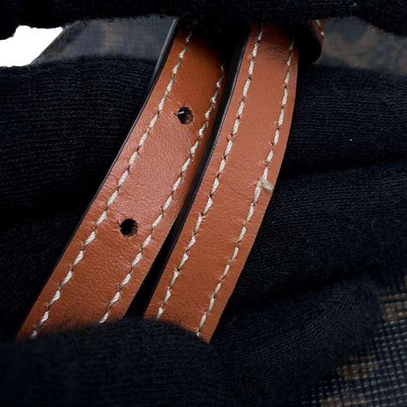 CELINE Triomphe Mobile Pouch 10K682DS3.04LU Shoulder Bag - Picture 10 of 13